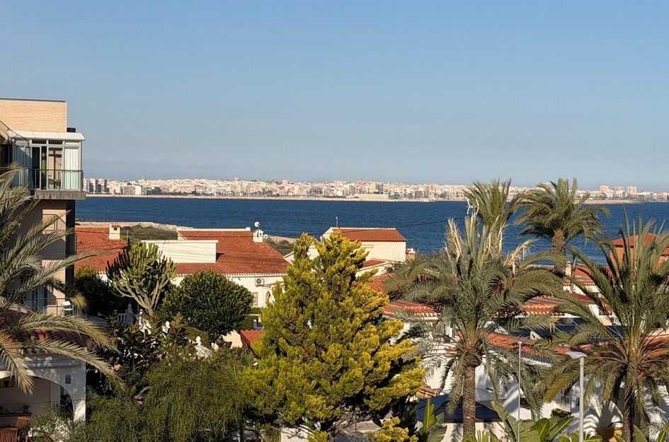 Appartement in Torrevieja