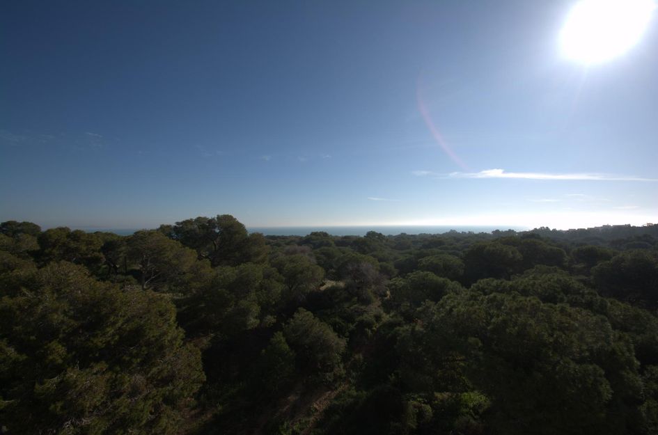 Appartement in Guardamar del Segura