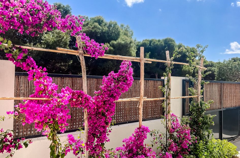 Appartement in Santiago de la Ribera