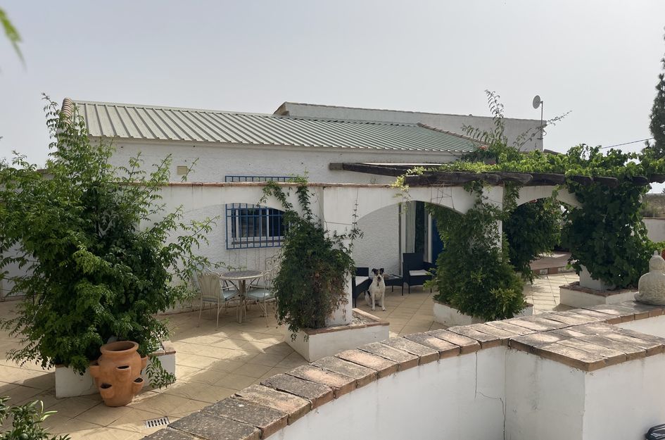 Finca in Totana