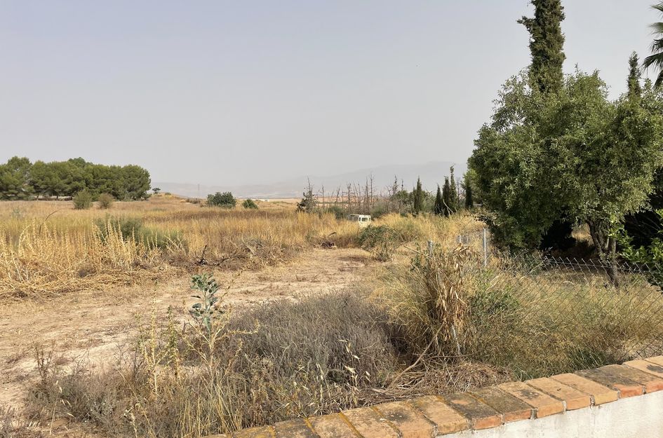 Finca in Totana