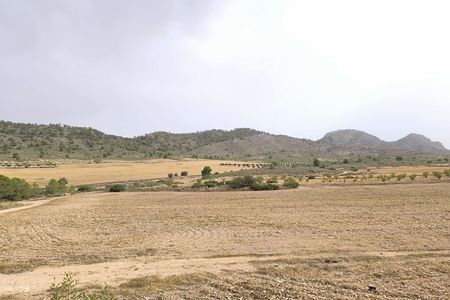 Perceel in Yecla
