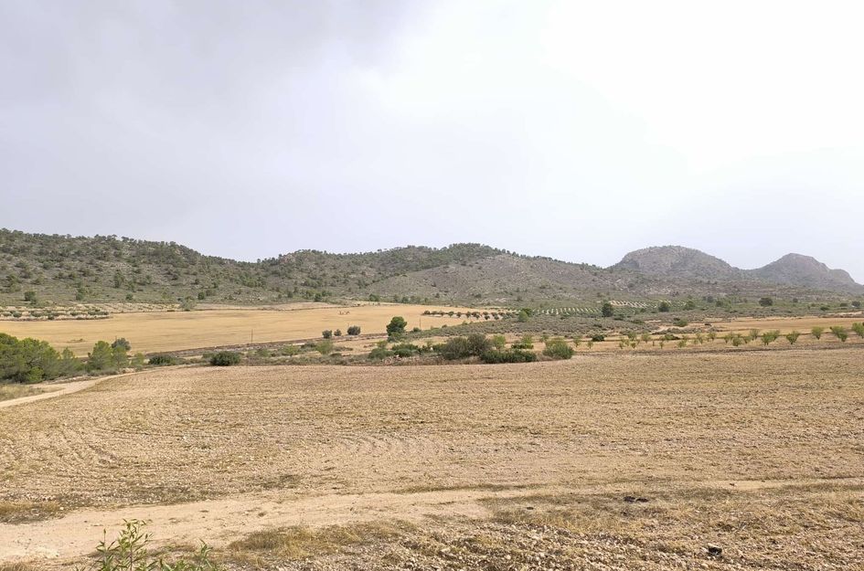 Perceel in Yecla