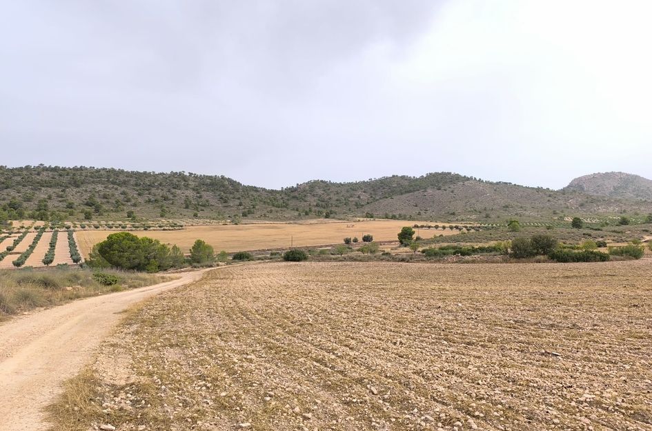 Perceel in Yecla