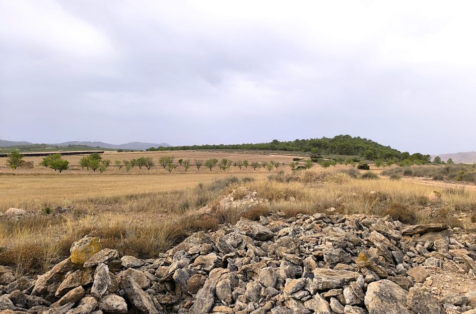 Perceel in Yecla
