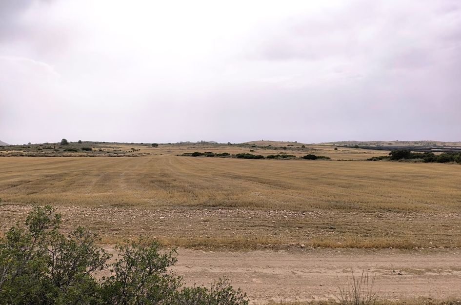 Perceel in Yecla