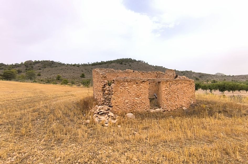 Perceel in Yecla
