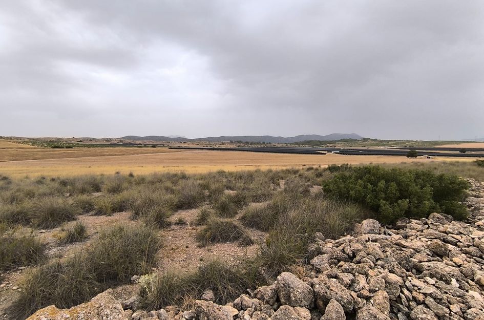 Perceel in Yecla
