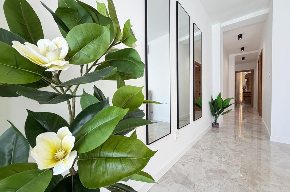 Penthouse in Torrevieja