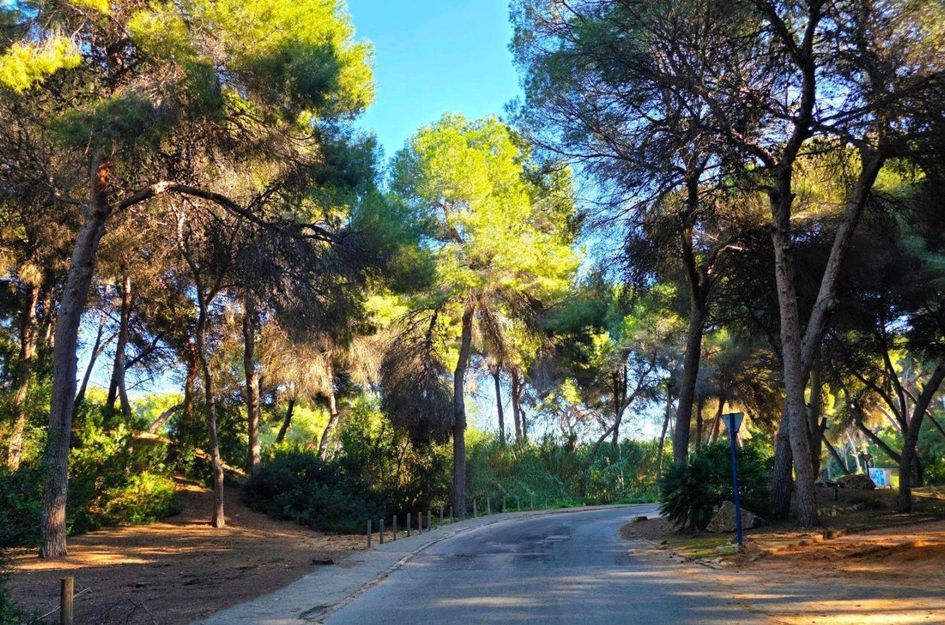 Huis in Los Almendros