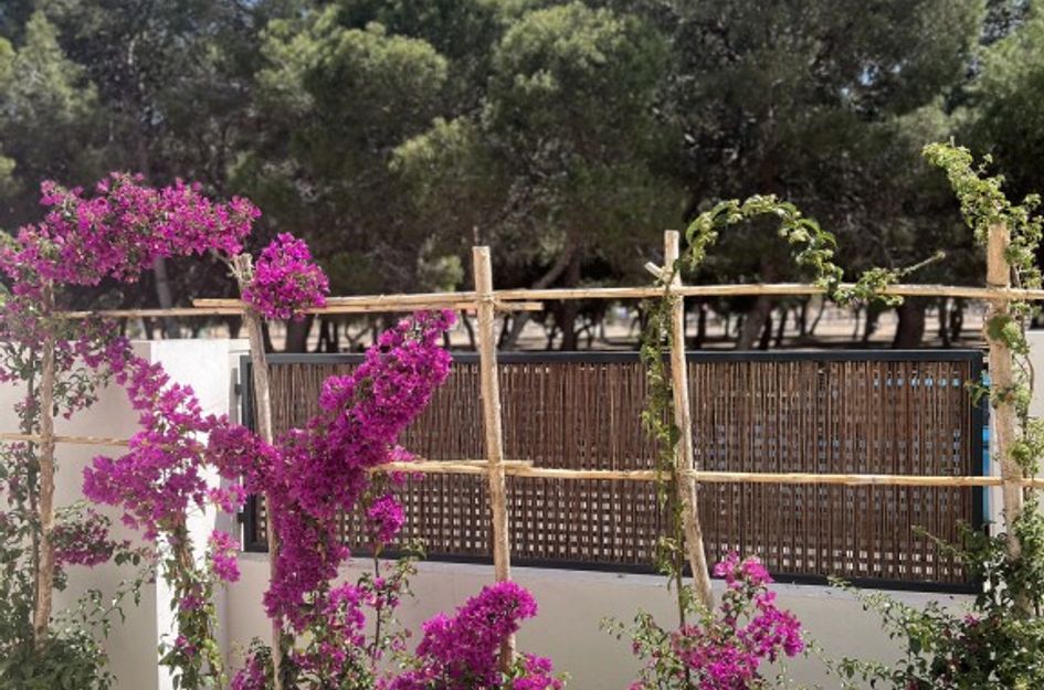 Appartement in San Javier