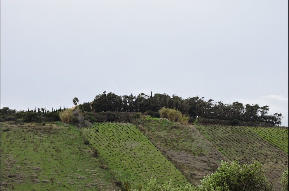 Finca in Manilva