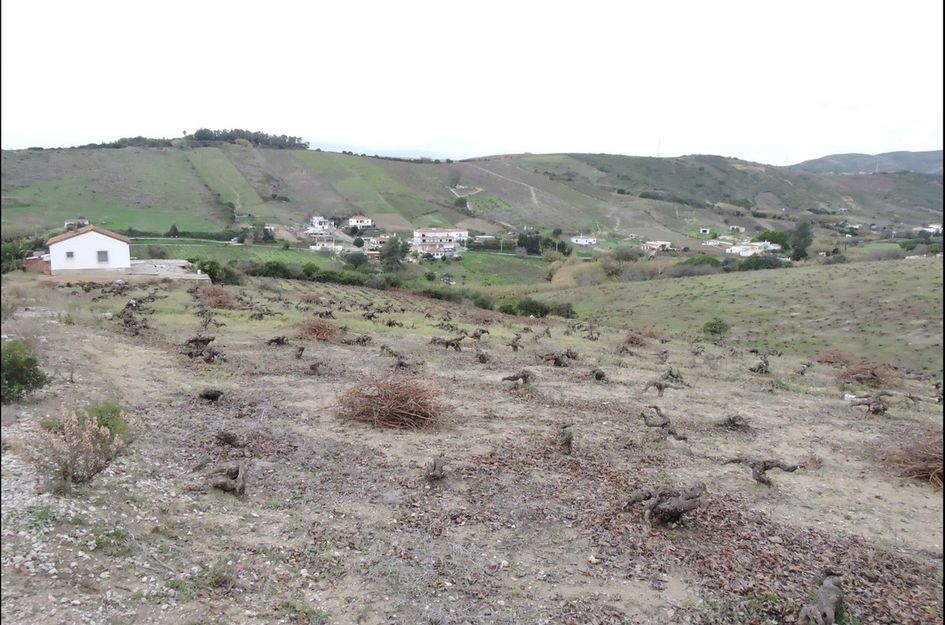 Finca in Manilva