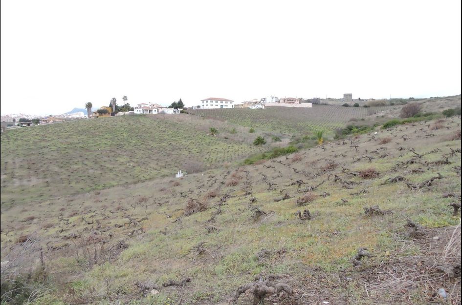 Finca in Manilva