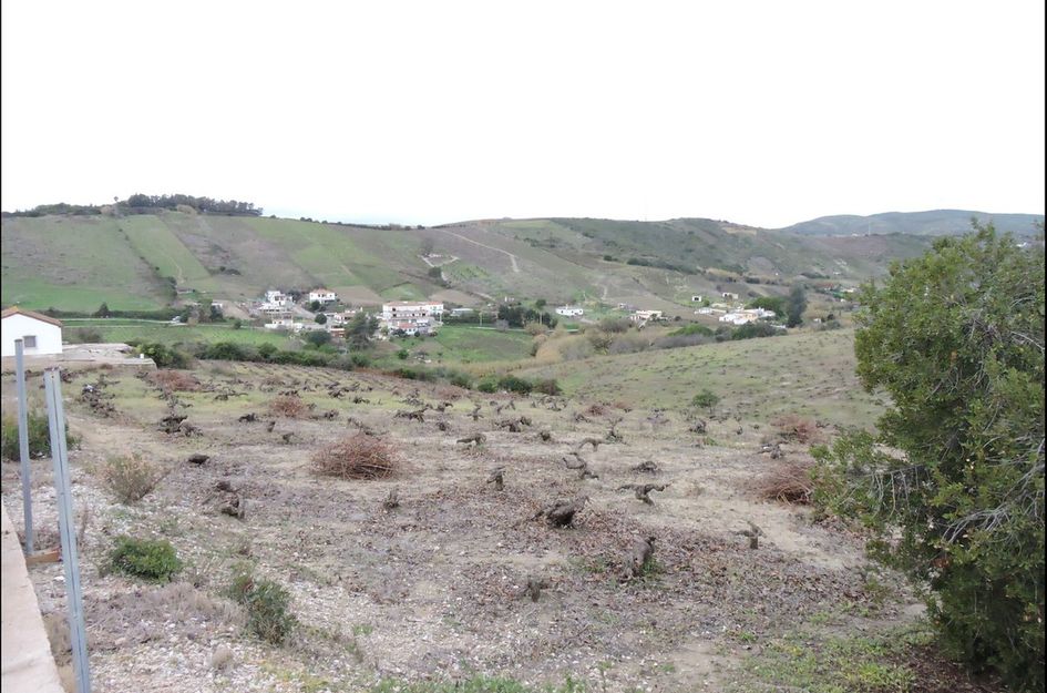 Finca in Manilva