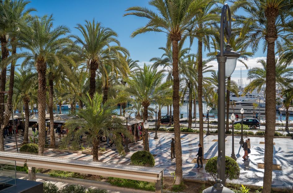 Appartement in Alicante