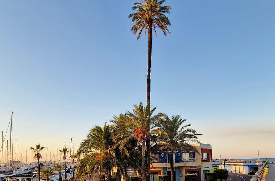 Appartement in Dénia
