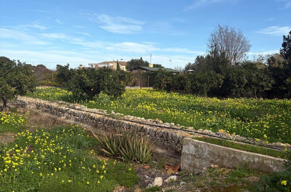 Perceel in Dénia