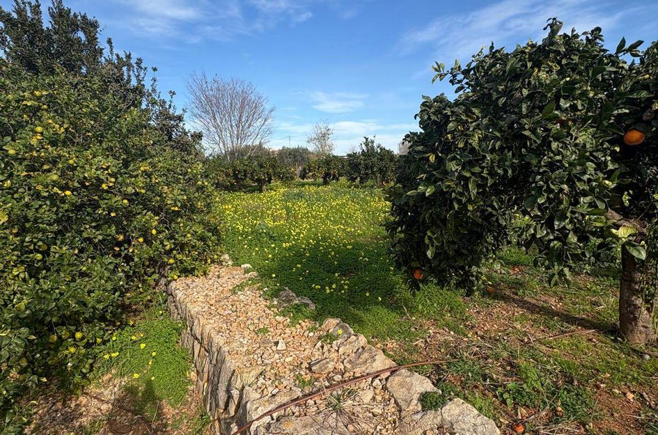 Perceel in Dénia