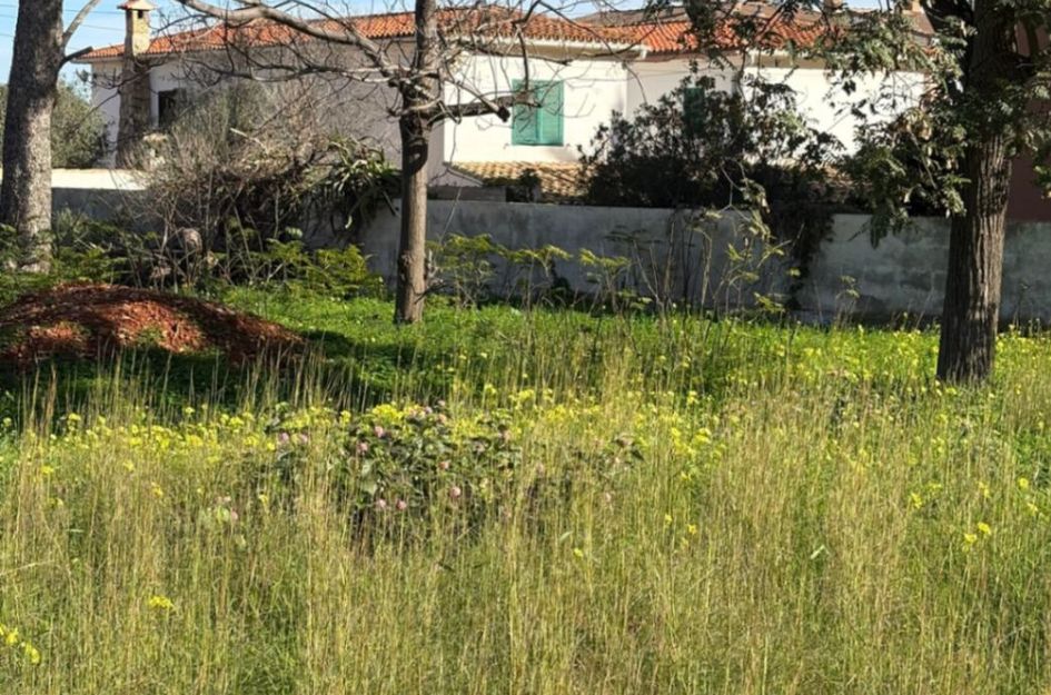 Perceel in Dénia