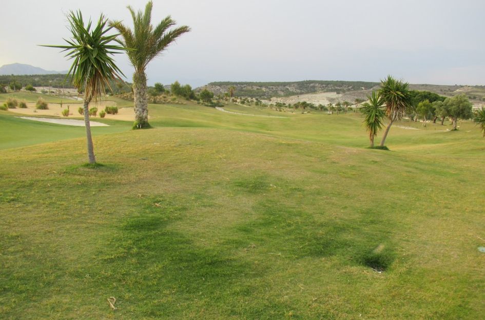 Bungalow in Vistabella
