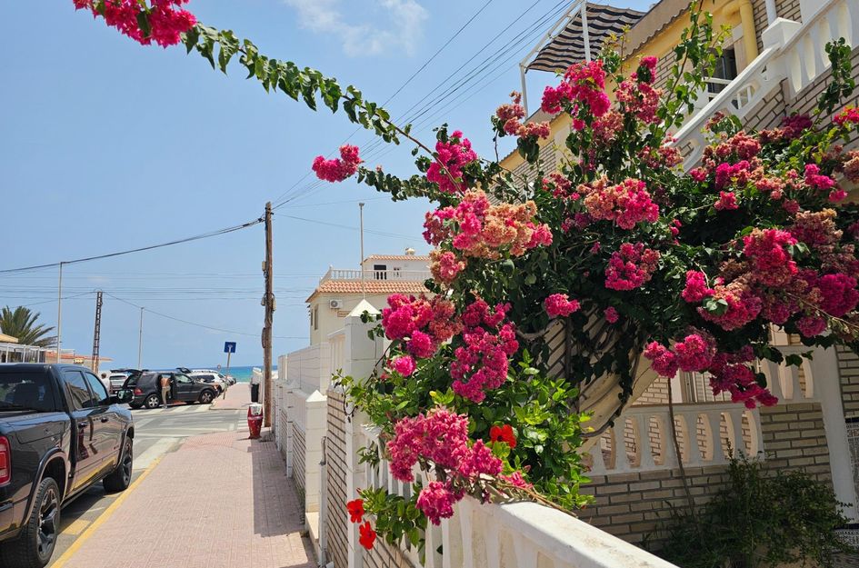 Bungalow in Torrevieja