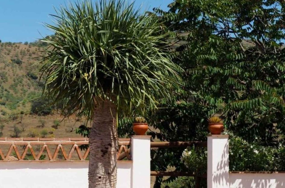Finca in Carratraca