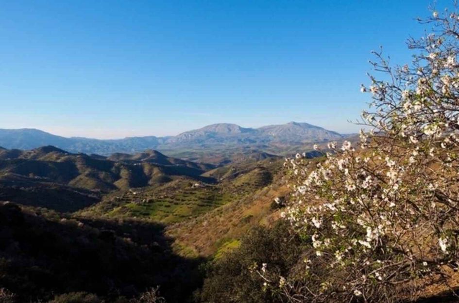 Finca in Carratraca