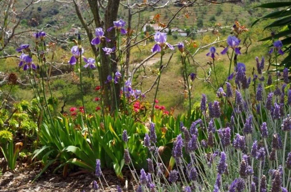 Finca in Carratraca