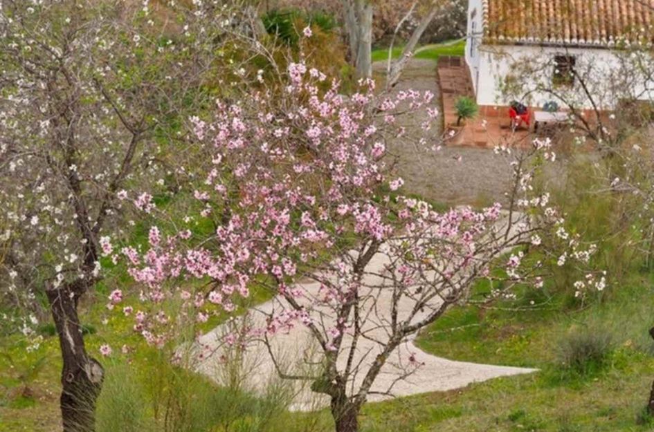 Finca in Carratraca