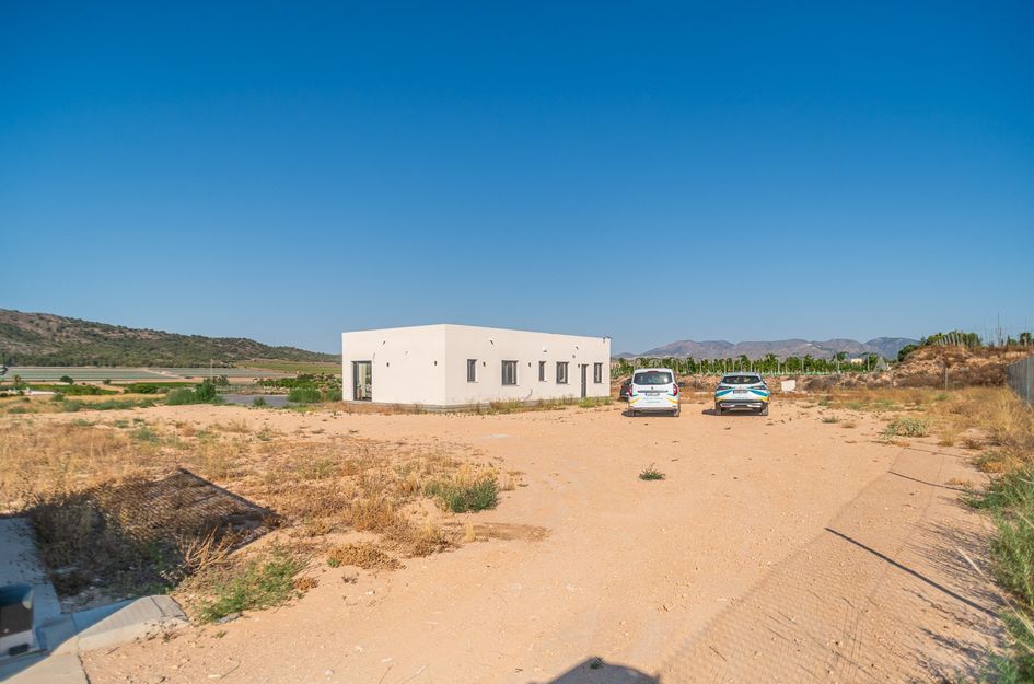 Villa in Aspe