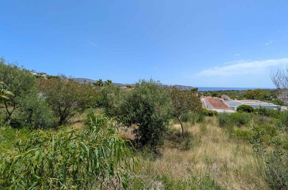 Perceel in El Tesoro