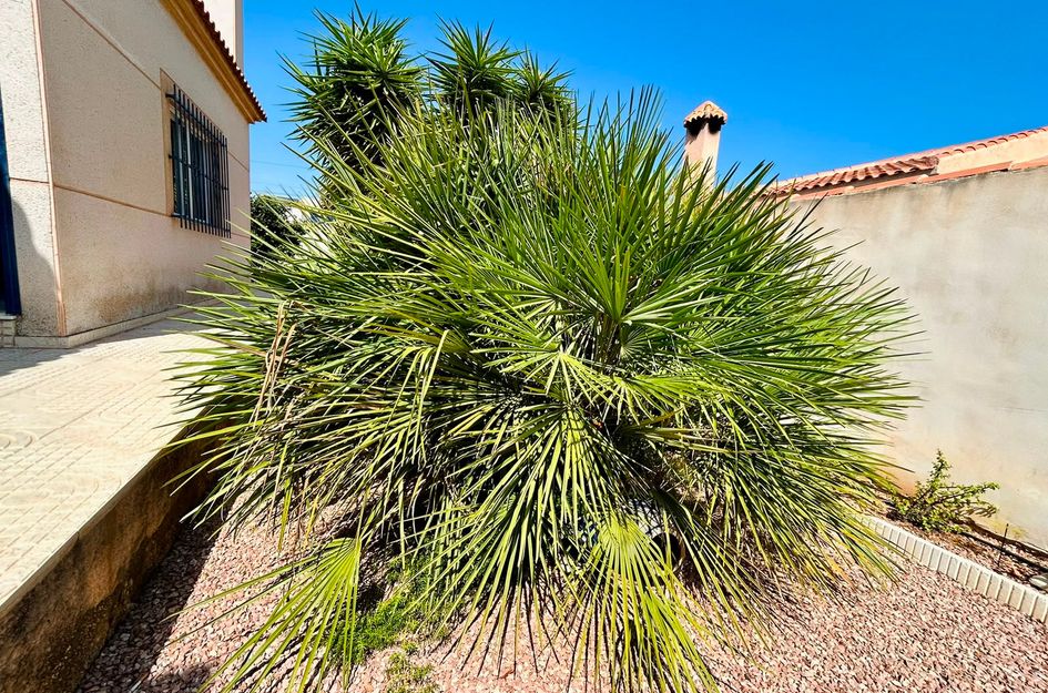 Villa in El Chaparral