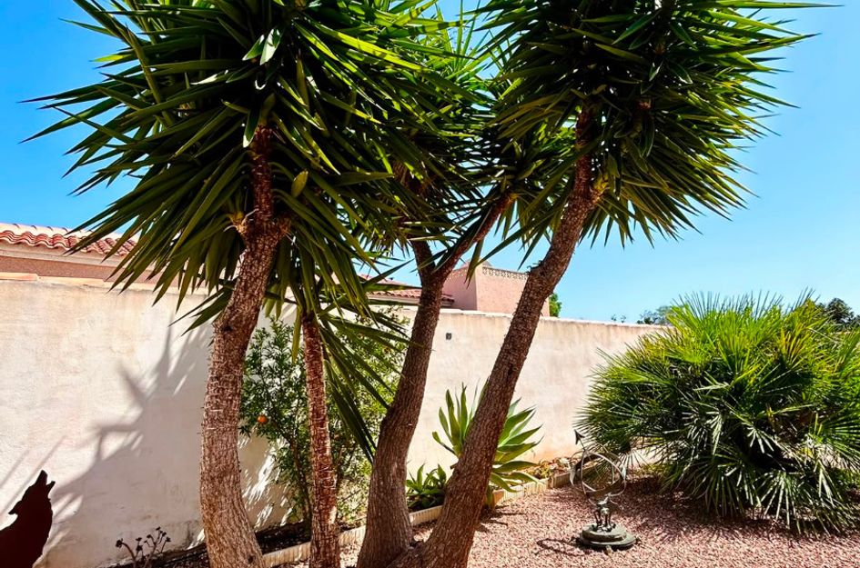 Villa in El Chaparral