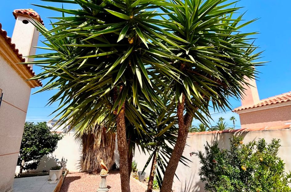 Villa in El Chaparral