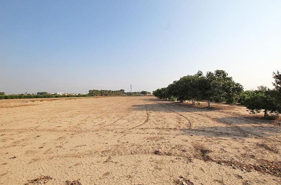 Finca in Daya Nueva