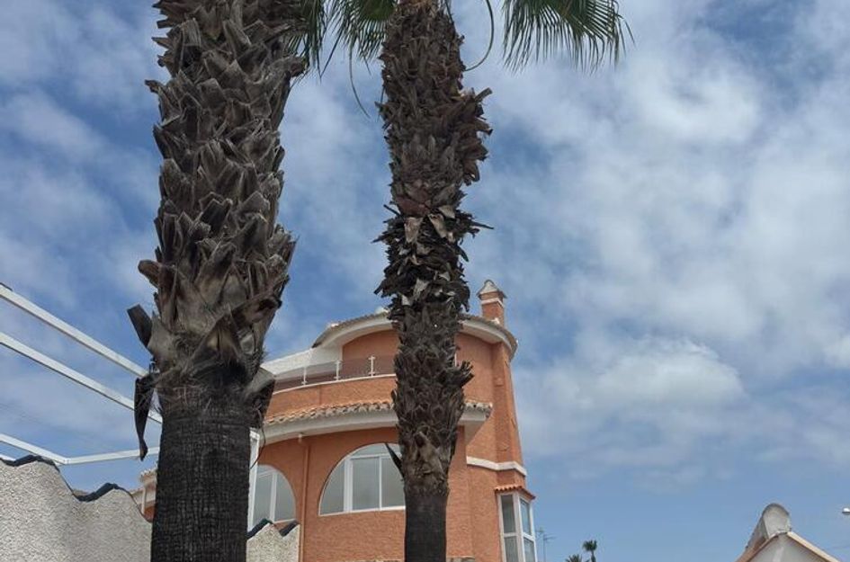 Villa in Montebello