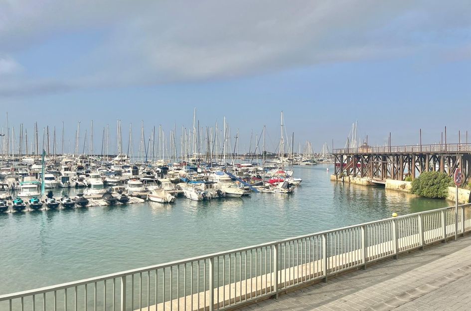 Appartement in Torrevieja