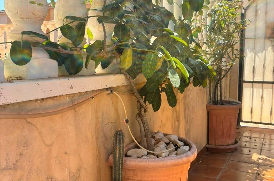 Villa in Los Almendros
