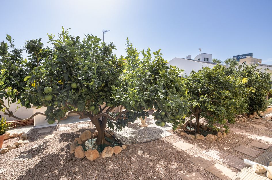 Villa in Dehesa de Campoamor