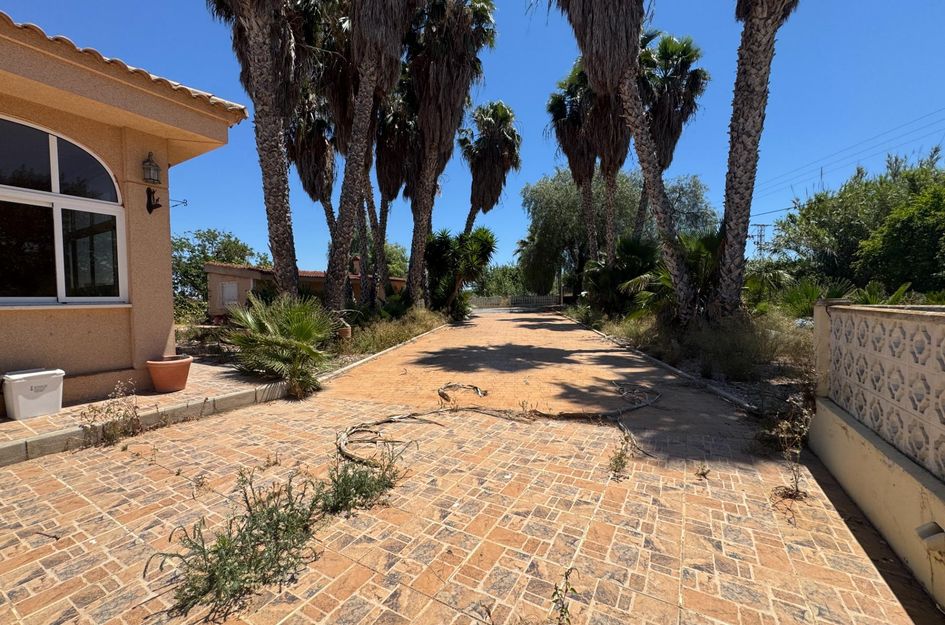 Finca in Dolores