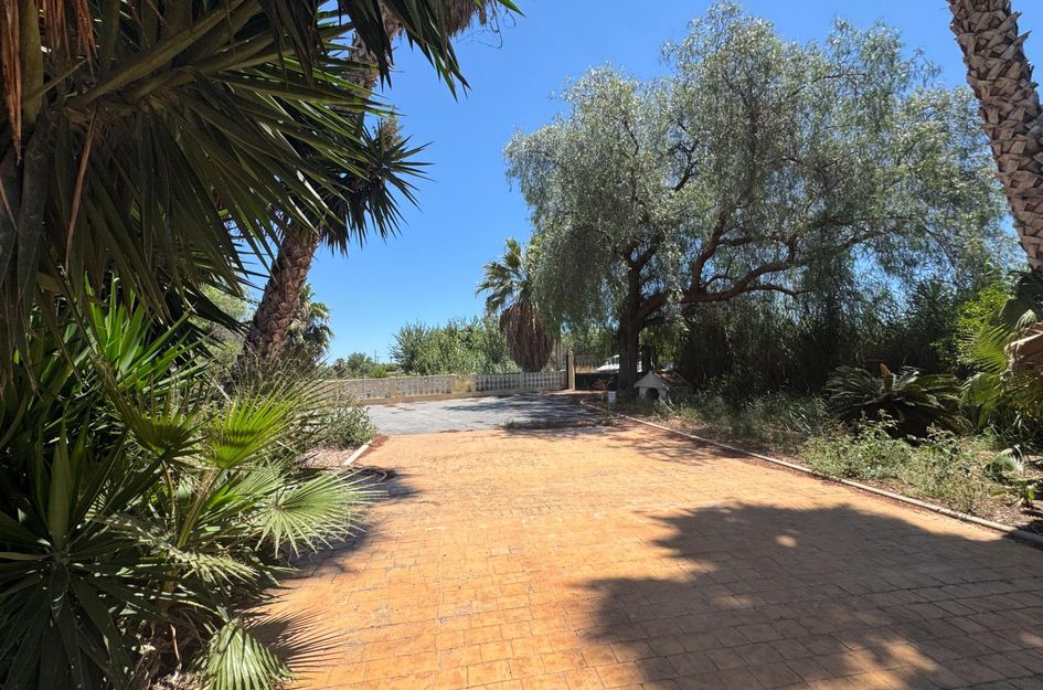 Finca in Dolores