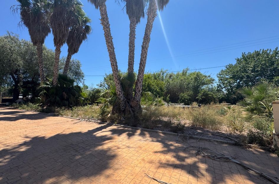 Finca in Dolores
