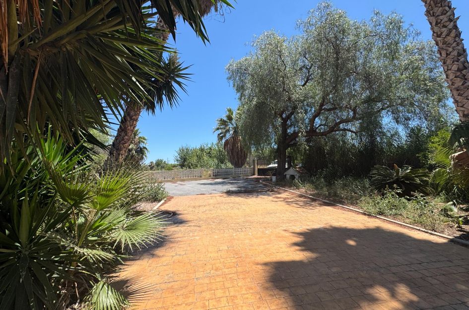 Finca in Dolores