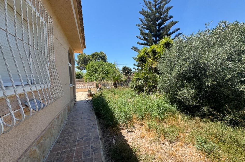 Finca in Dolores