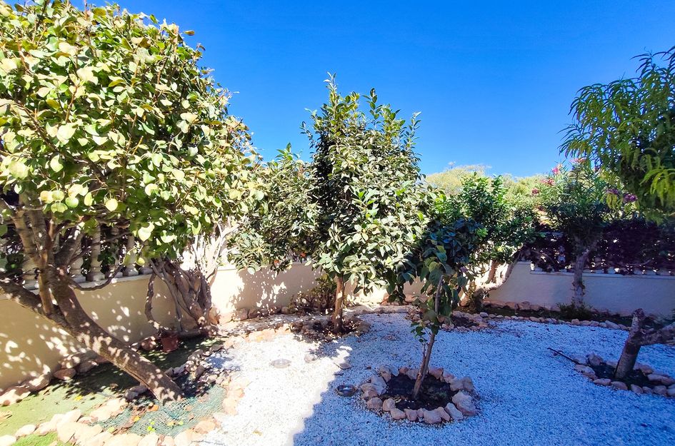 Appartement in Monte Zenia