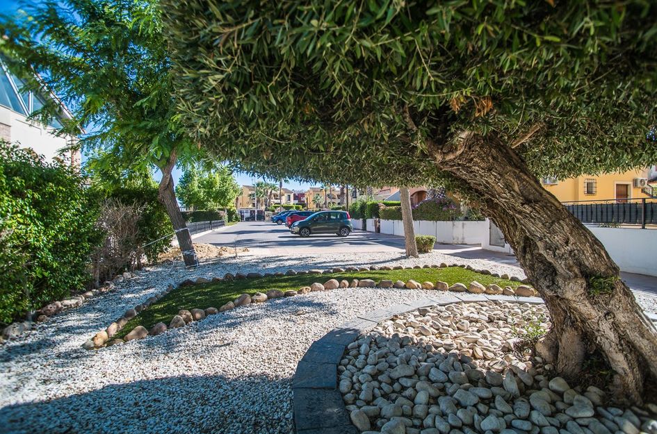 Villa in Algorfa