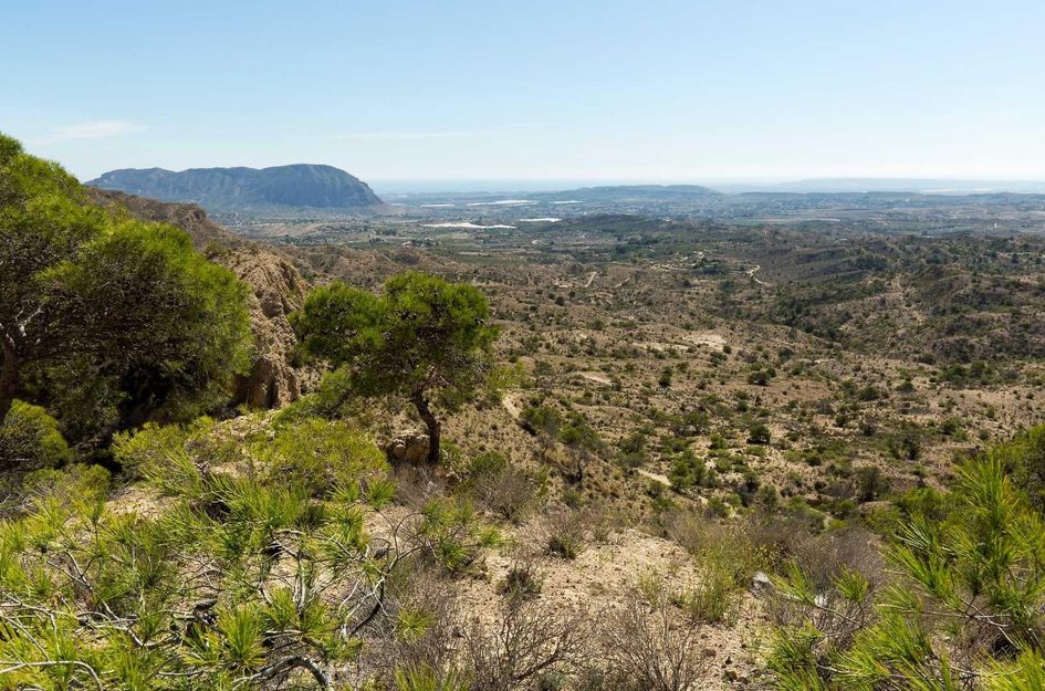 Villa in El Fondó de les Neus