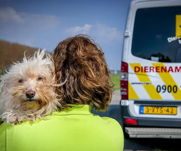 de Dierenbescherming