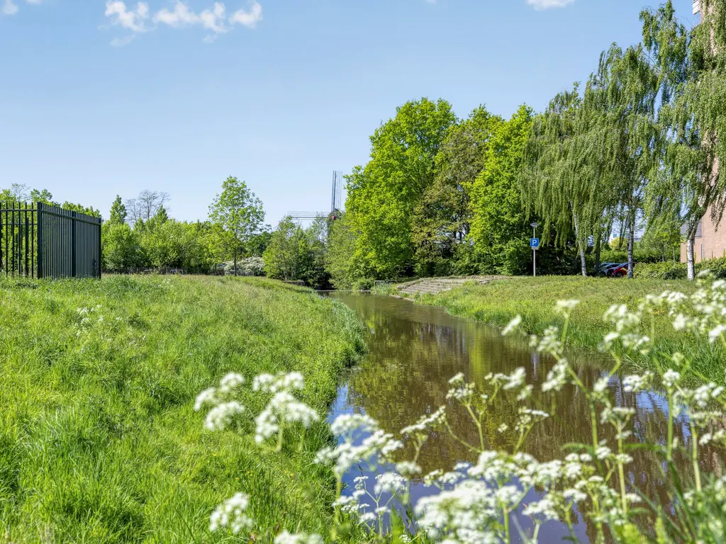 Isabelladonk 11, Roosendaal